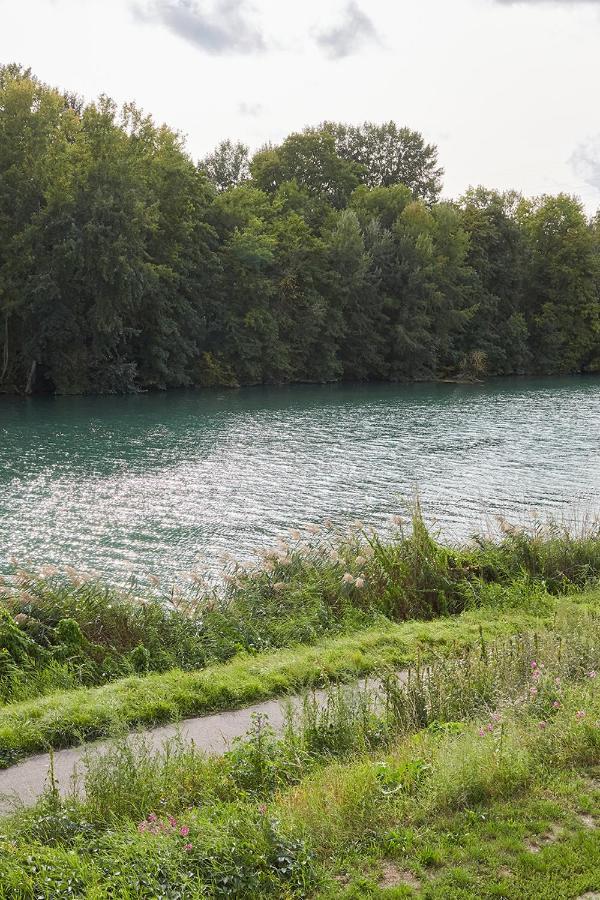 Paradis Champenois Damery  Exteriör bild